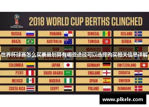世界杯球赛怎么买票最划算有哪些途径可以选择购买相关信息详解