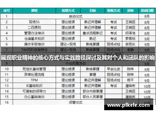 展现职业精神的核心方式与实践路径探讨及其对个人和团队的影响