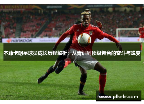 本菲卡明星球员成长历程解析：从青训到顶级舞台的奋斗与蜕变