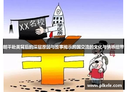 朗平赴美背后的深层原因与故事揭示跨国交流的文化与情感纽带