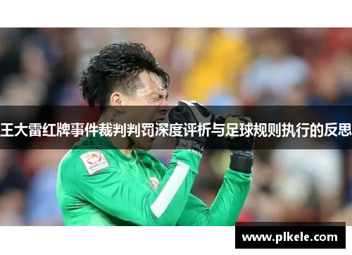 王大雷红牌事件裁判判罚深度评析与足球规则执行的反思