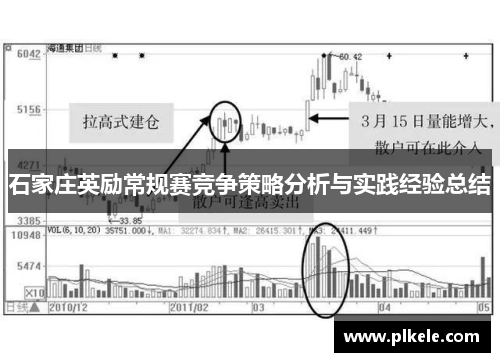 石家庄英励常规赛竞争策略分析与实践经验总结