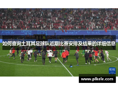 如何查询土耳其足球队近期比赛安排及结果的详细信息