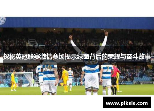探秘英冠联赛激情赛场揭示绿茵背后的荣耀与奋斗故事