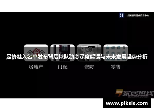 足协准入名单发布背后球队动态深度解读与未来发展趋势分析